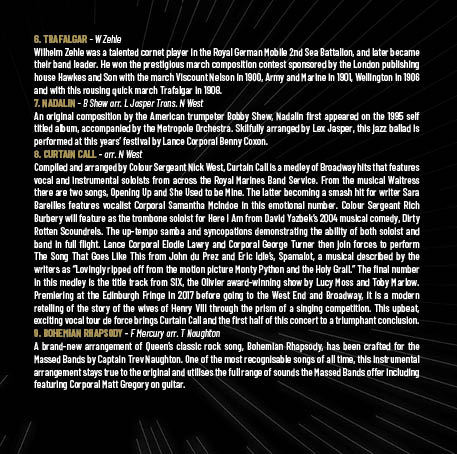 Mountbatten Festival of Music 2025 - Image 4